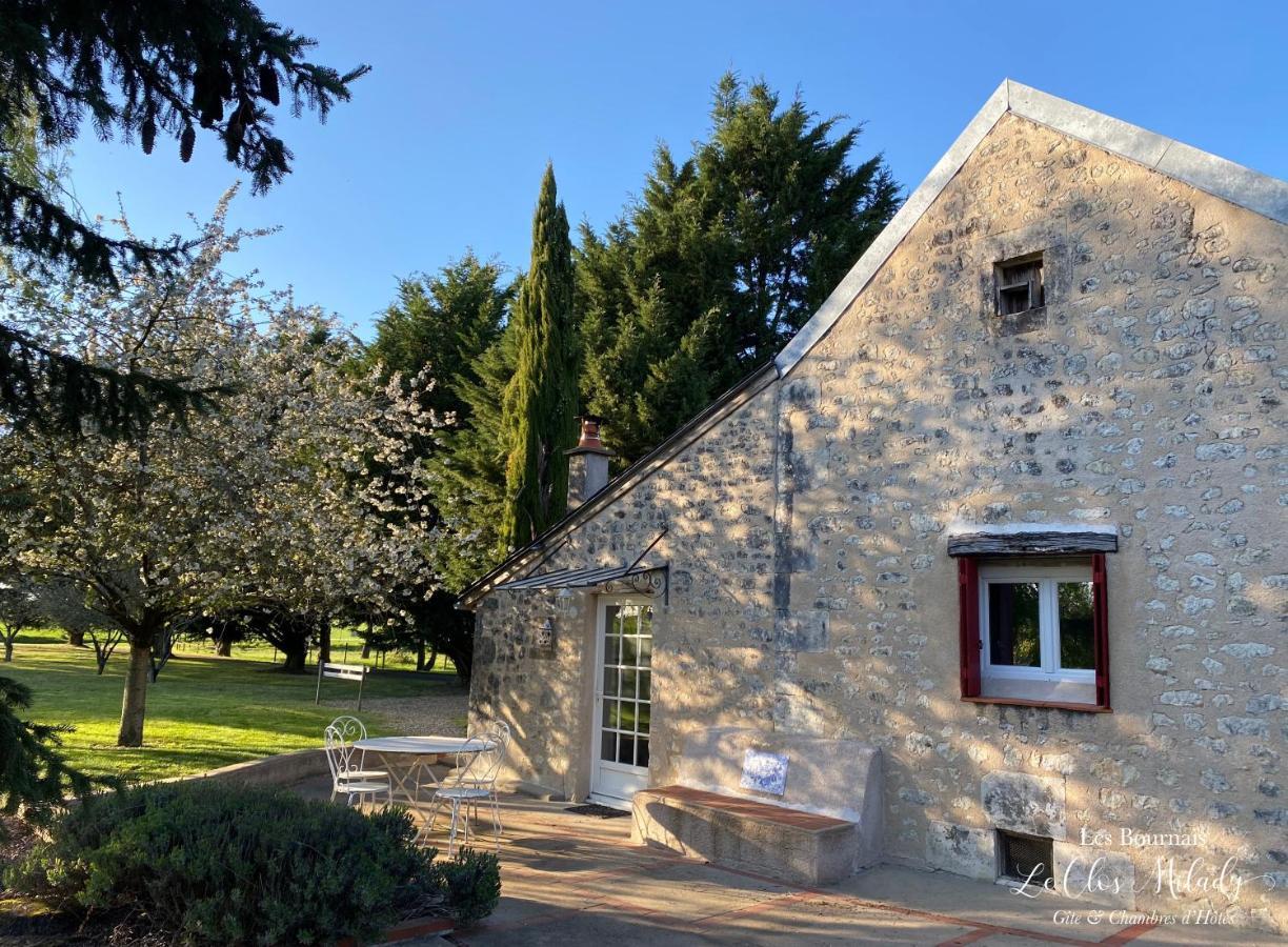 Chambres D'Hotes Les Bournais - Le Clos Milady L'Ile-Bouchard Ngoại thất bức ảnh