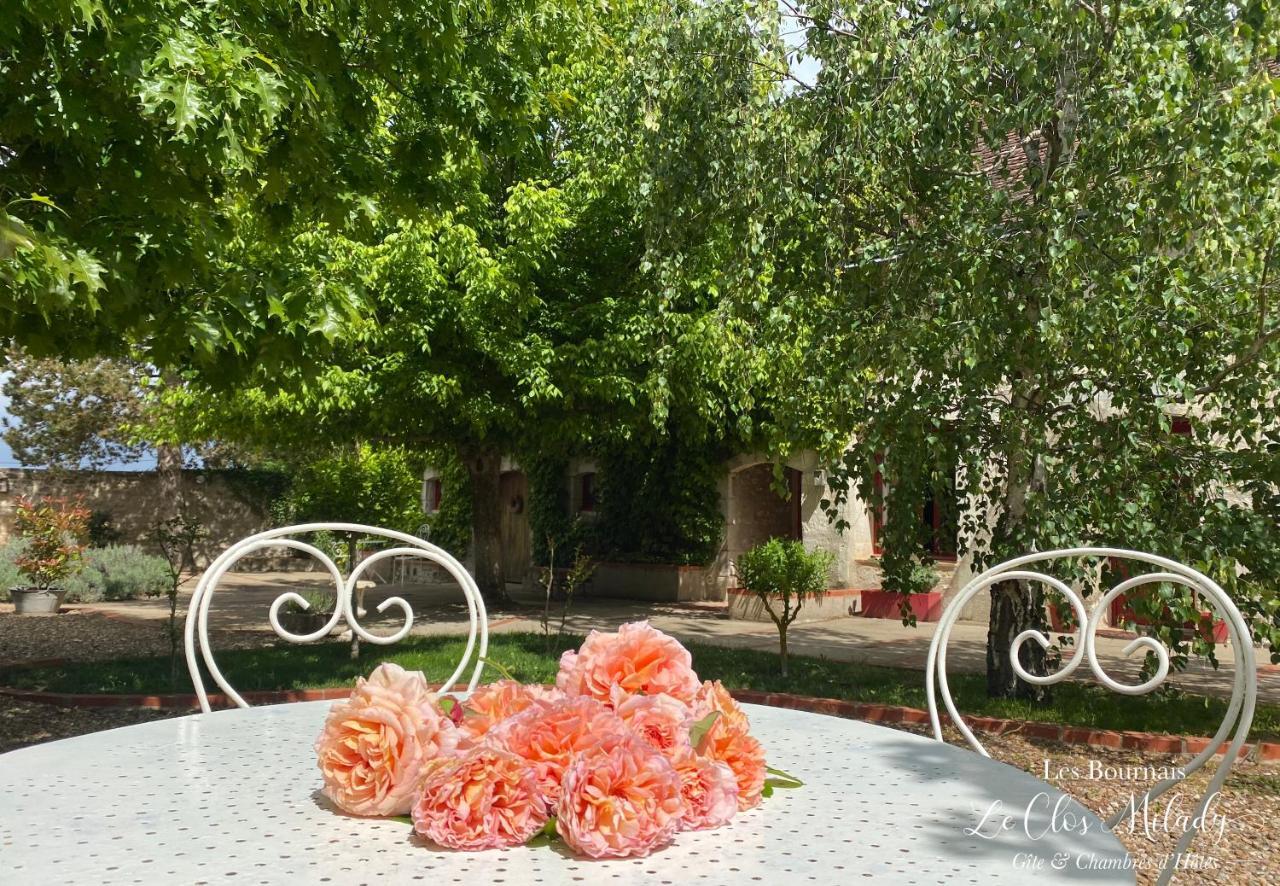 Chambres D'Hotes Les Bournais - Le Clos Milady L'Ile-Bouchard Ngoại thất bức ảnh