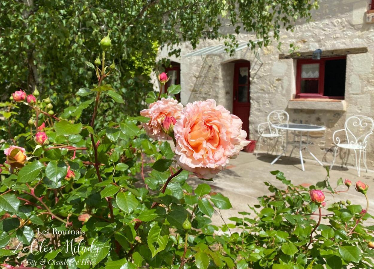 Chambres D'Hotes Les Bournais - Le Clos Milady L'Ile-Bouchard Ngoại thất bức ảnh