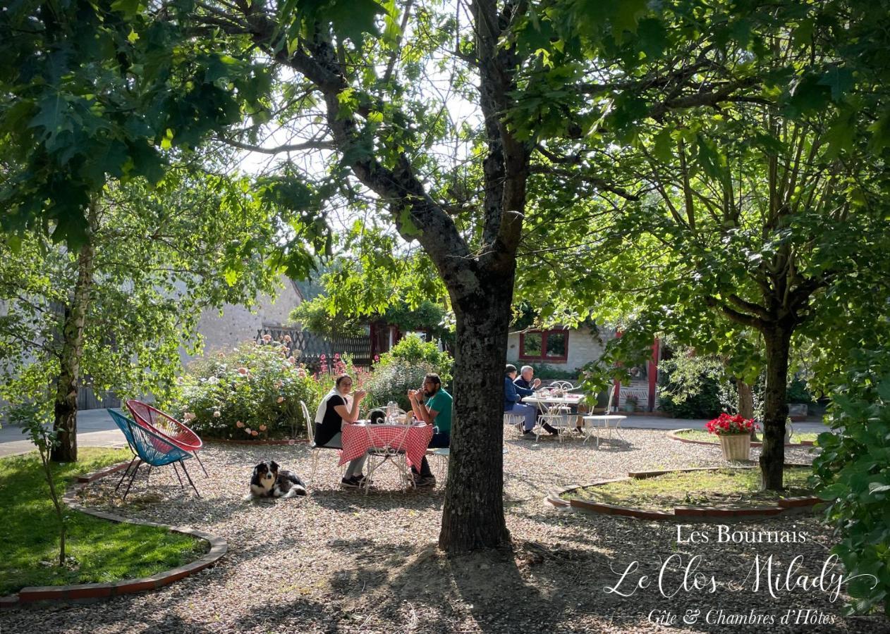 Chambres D'Hotes Les Bournais - Le Clos Milady L'Ile-Bouchard Ngoại thất bức ảnh