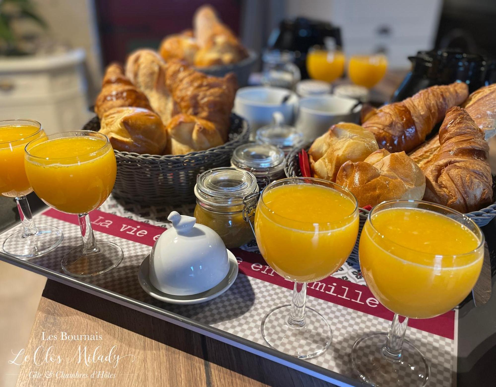 Chambres D'Hotes Les Bournais - Le Clos Milady L'Ile-Bouchard Ngoại thất bức ảnh